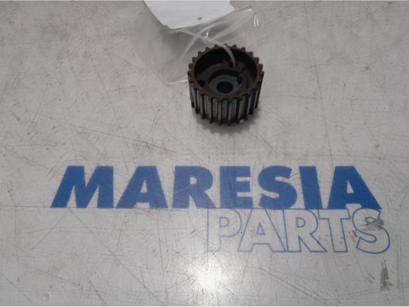 Fiat - Punto - Camshaft sprocket