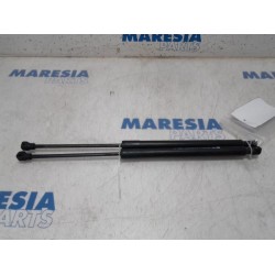 Renault - Clio - Set of tailgate gas struts