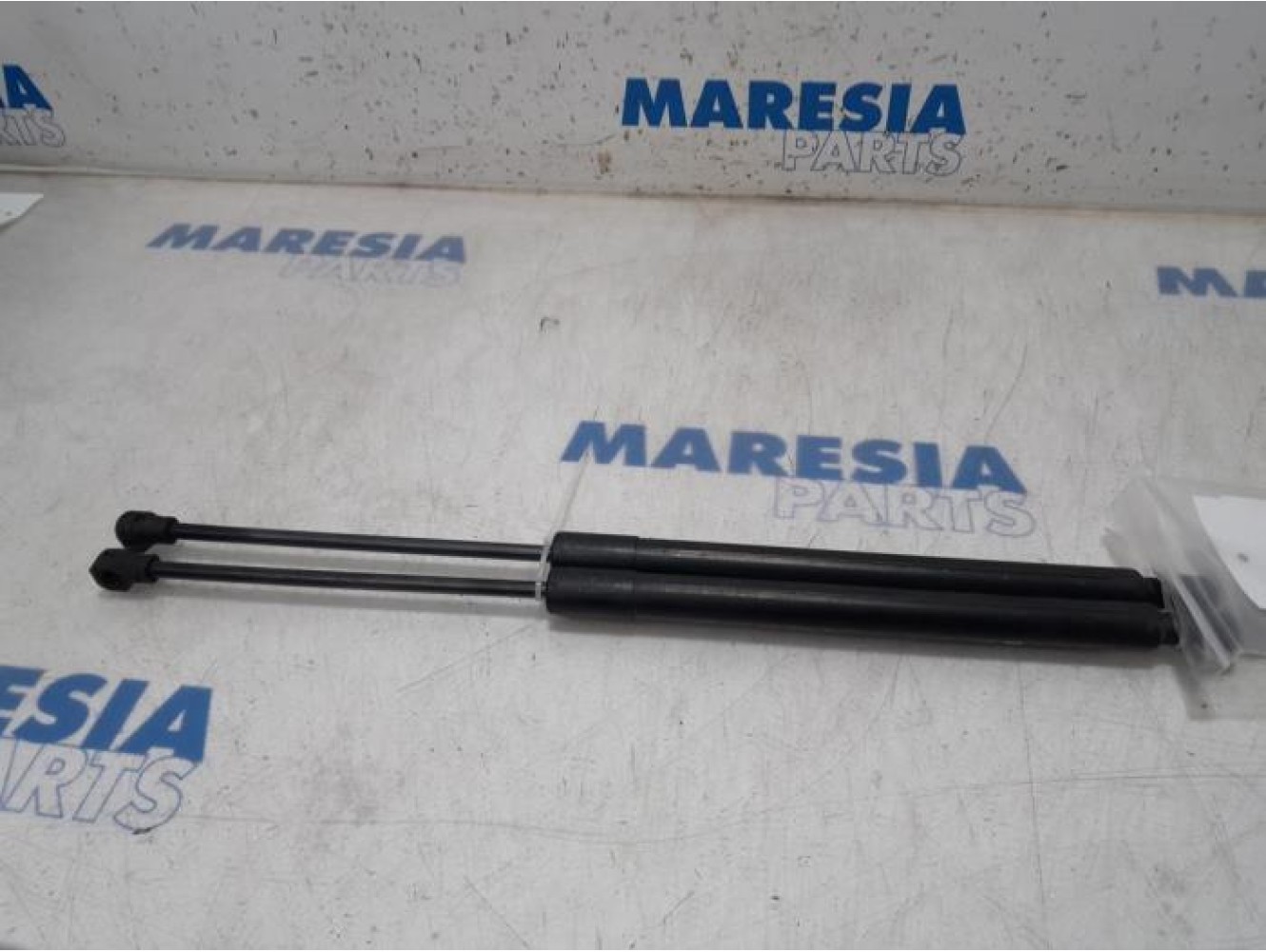 Renault - Clio - Set of tailgate gas struts