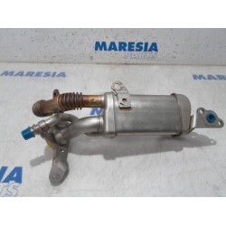 Renault - Clio - EGR koeler
