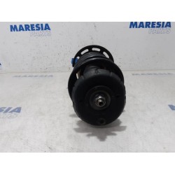 Citroen - C4 Cactus - Front shock absorber rod, left