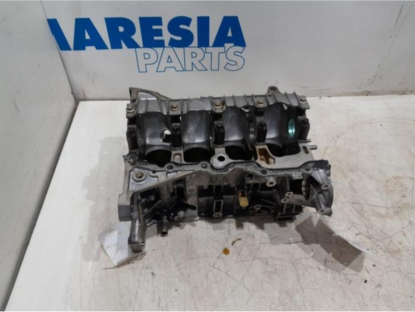 Renault - Megane - Motor Unterblock