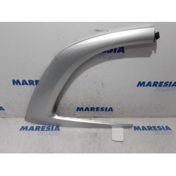 Citroen - C4 Picasso - Decorative strip