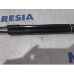 Renault - Clio - Set of tailgate gas struts