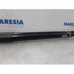 Renault - Clio - Set of tailgate gas struts