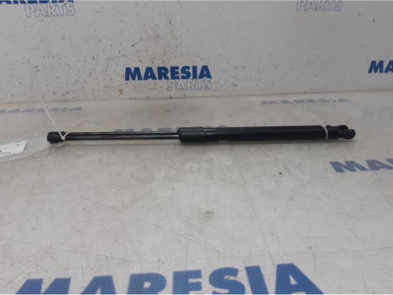 Renault - Clio - Set of tailgate gas struts