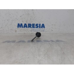 Renault - Megane - Induction valve