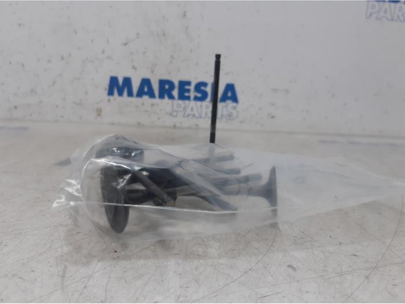 Renault - Megane - Induction valve