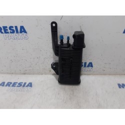 Peugeot - RCZ - Carbon filter