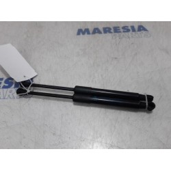 Peugeot - RCZ - Set of bonnet gas struts