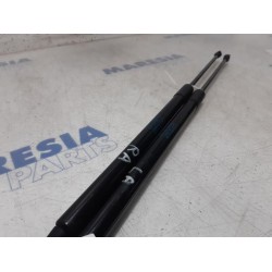 Citroen - C4 Cactus - Set of tailgate gas struts