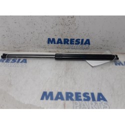 Citroen - C4 Grand Picasso - Set of tailgate gas struts