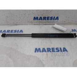 Citroen - C4 Grand Picasso - Set of tailgate gas struts