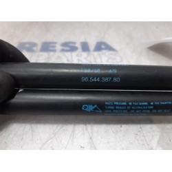Citroen - C4 Grand Picasso - Set of tailgate gas struts