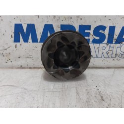 Fiat - Doblo - Piston