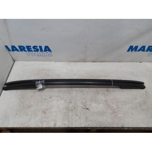 Renault - Clio - Dachreling Set