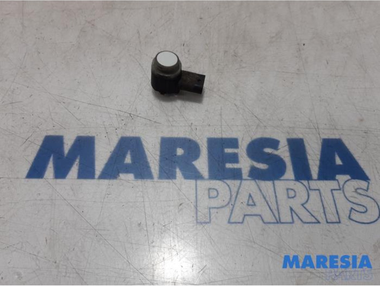 Fiat - Punto - PDC Sensor
