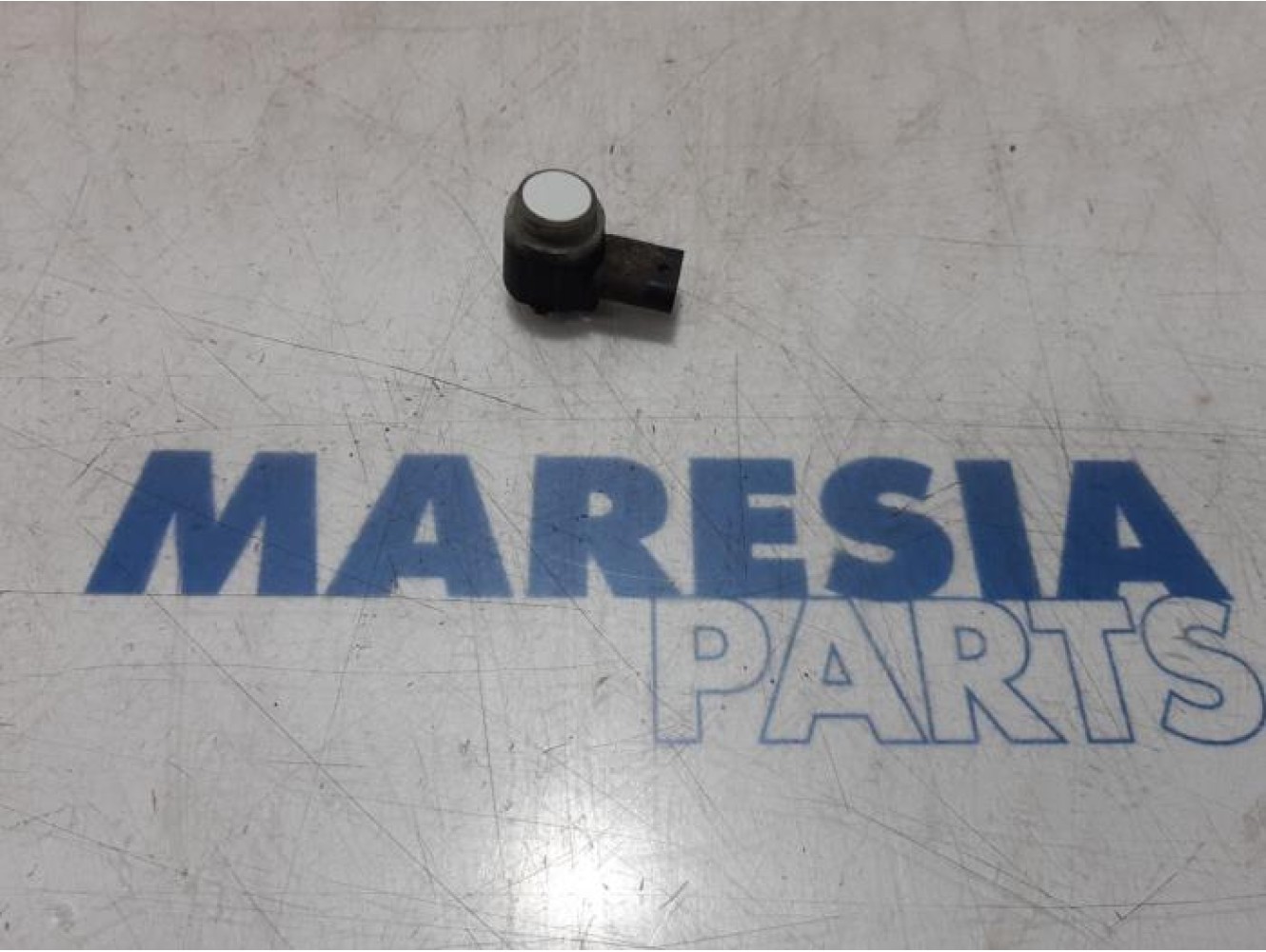 Fiat - Punto - PDC Sensor