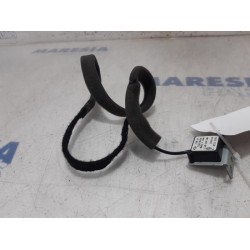Renault - Clio - Antenne