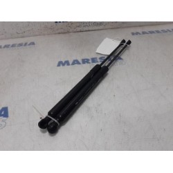 Renault - Clio - Set of tailgate gas struts