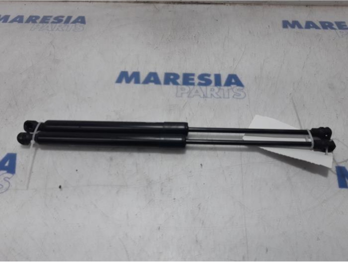 Renault - Clio - Set of tailgate gas struts