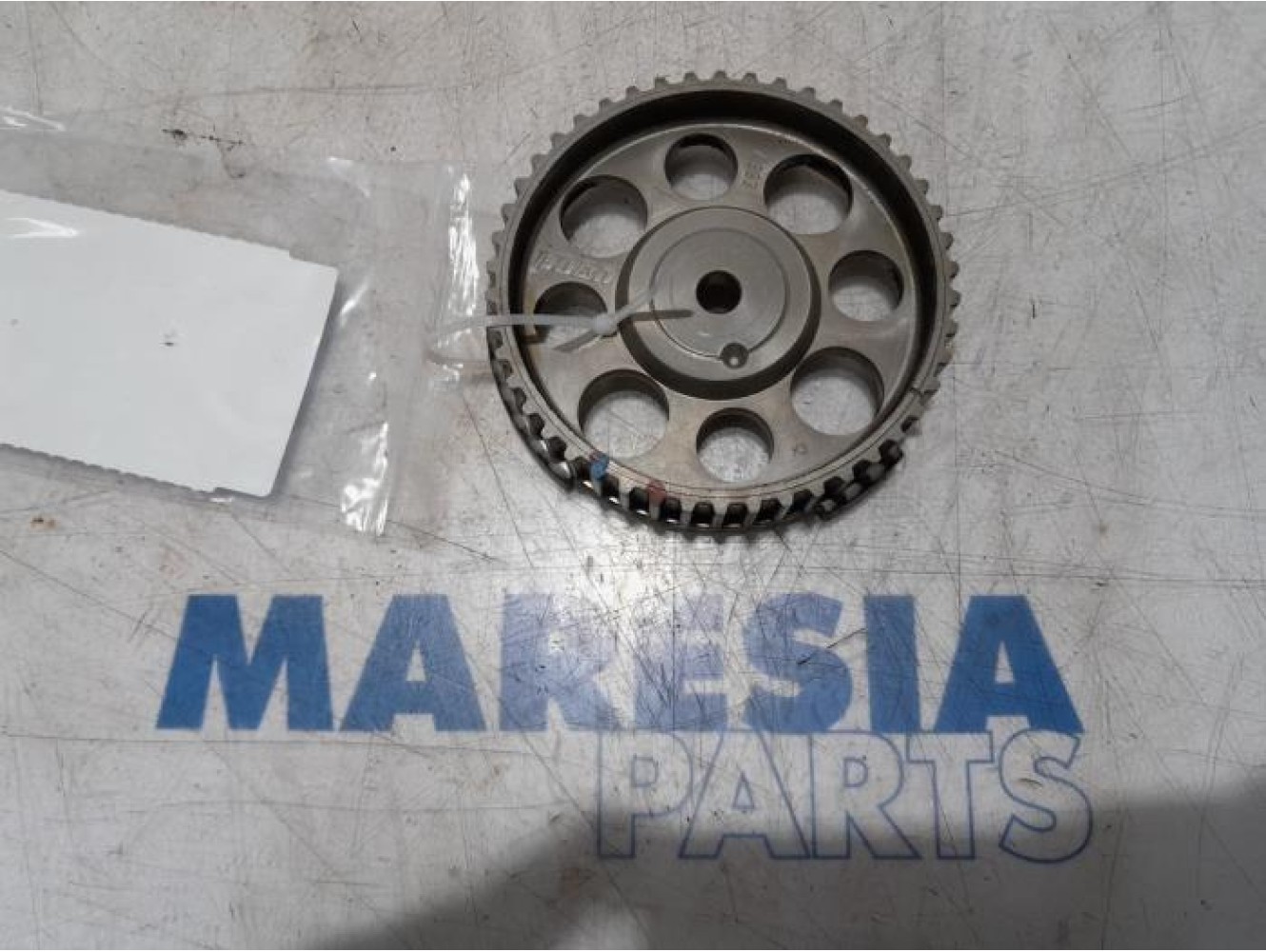 Fiat - Panda - Camshaft sprocket
