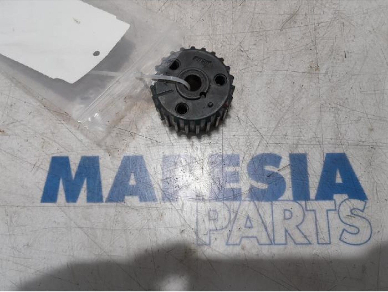 Fiat - Panda - Camshaft sprocket