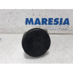 Renault - Clio - Piston