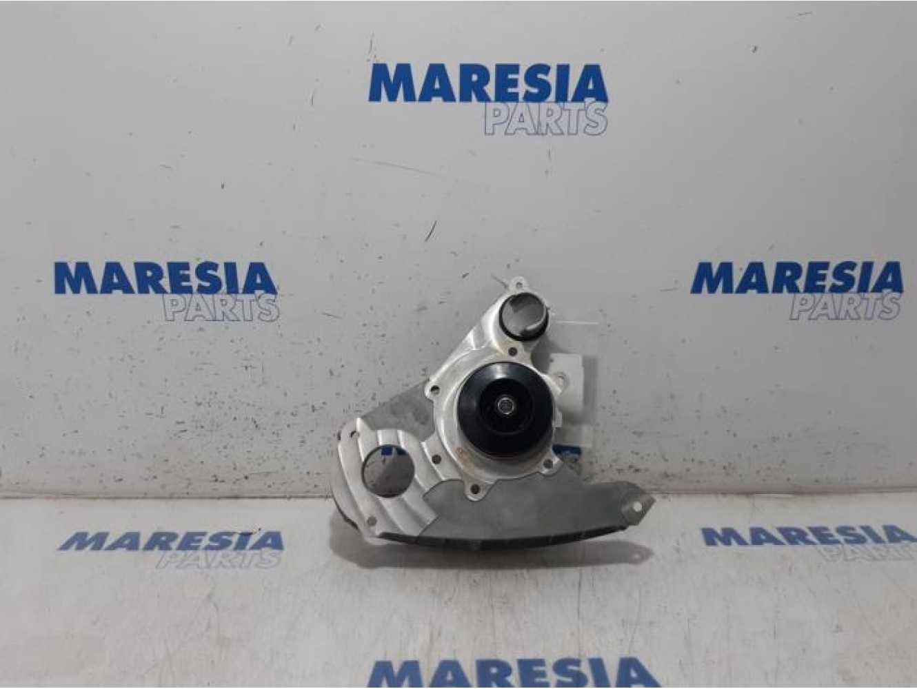 Fiat - Ducato - Spannrolle Steuerkette