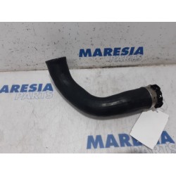 Renault - Clio - Intercooler hose