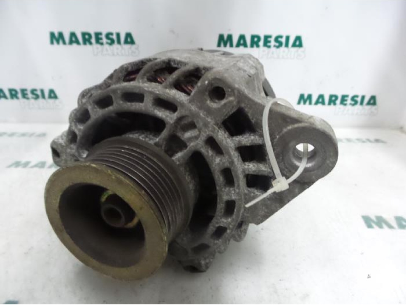 Fiat - Stilo - Dynamo