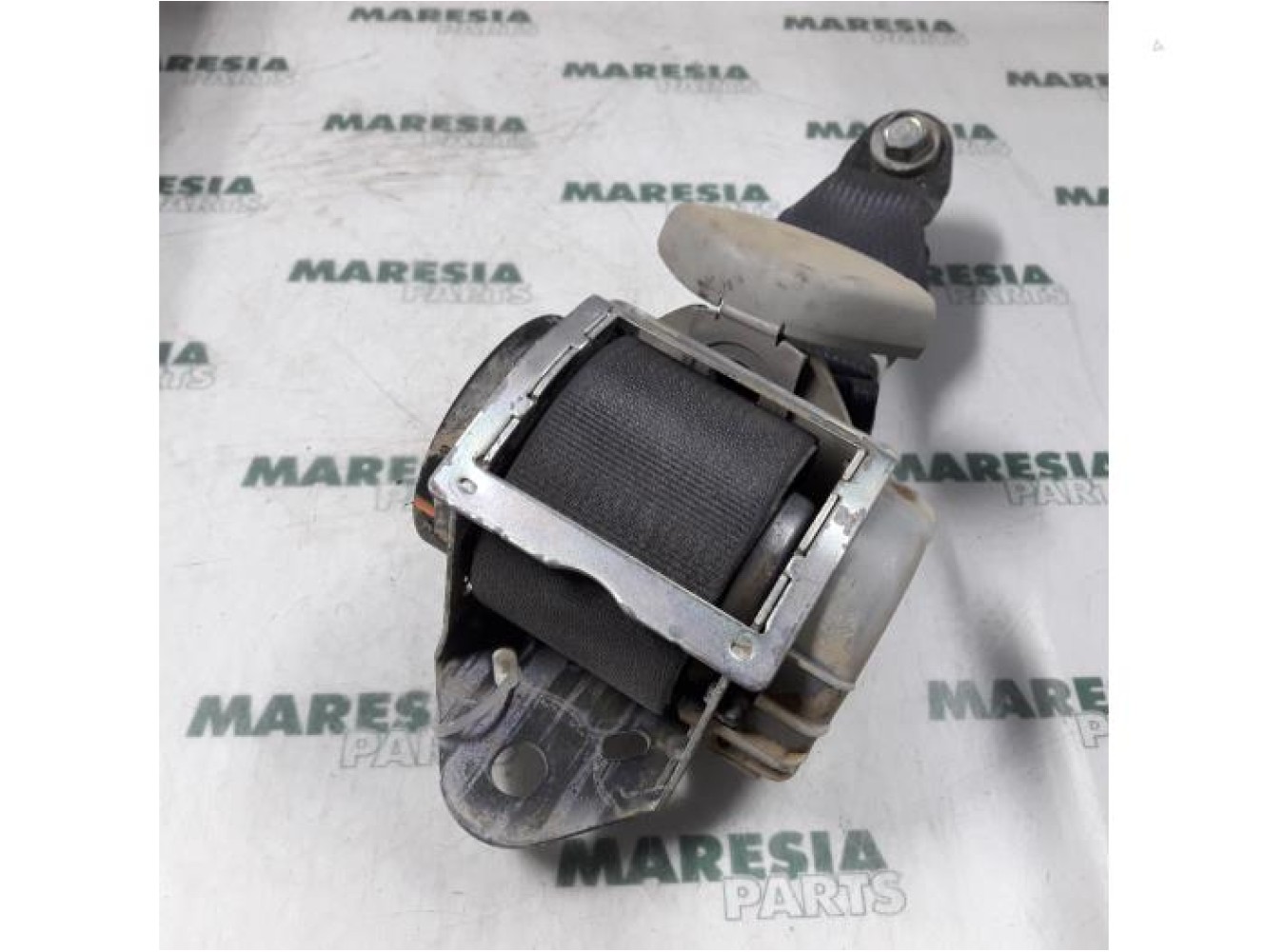 Renault - Koleos - Sicherheitsgurt links hinten