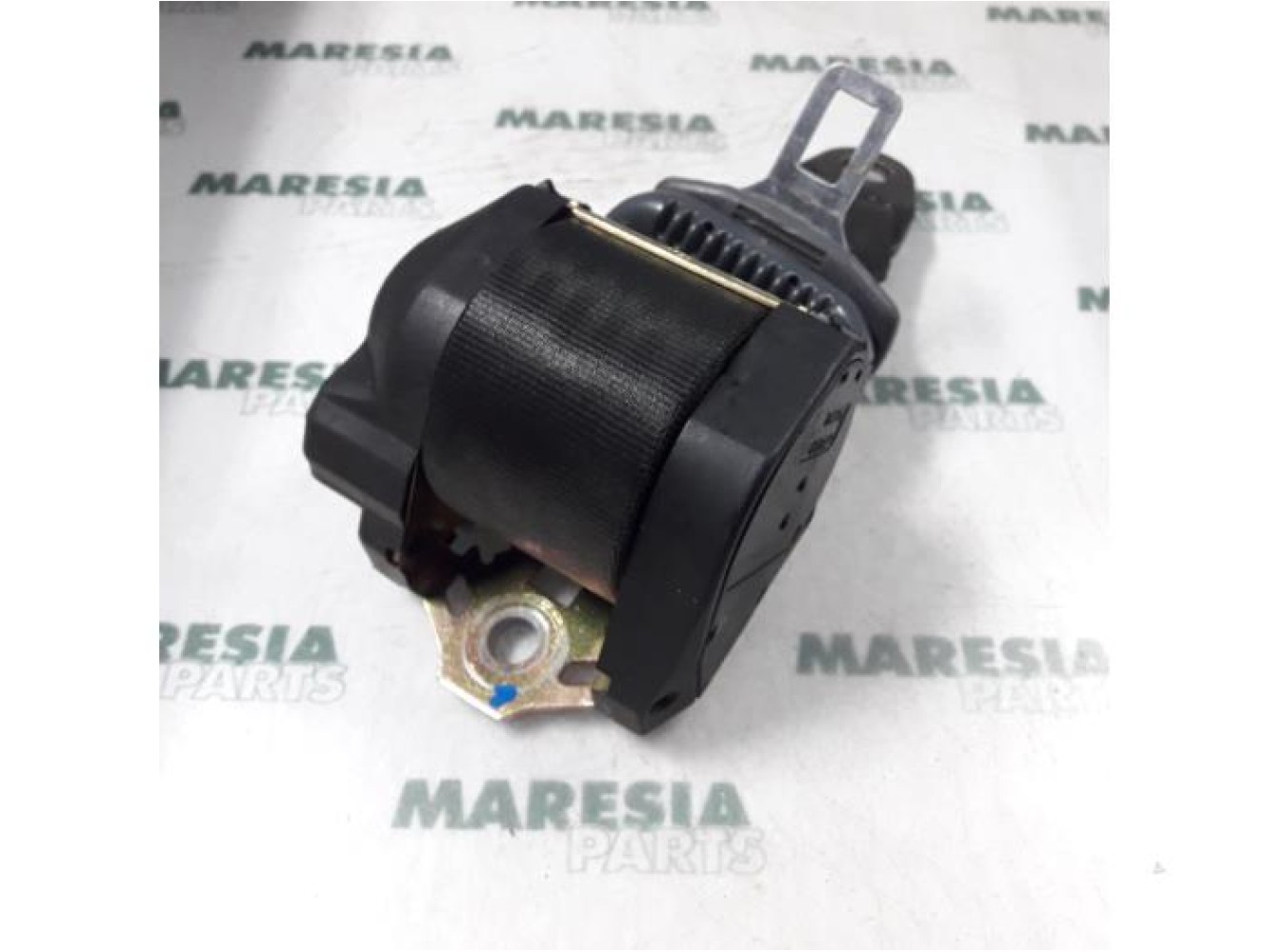Fiat - Palio - Sicherheitsgurt links hinten