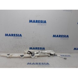 Renault - Megane - Airbag hemel links