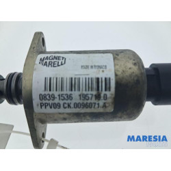 Fiat - Panda - Robotised gearbox