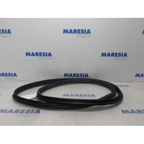 Citroen - C3 - Front door seal 4-door, left