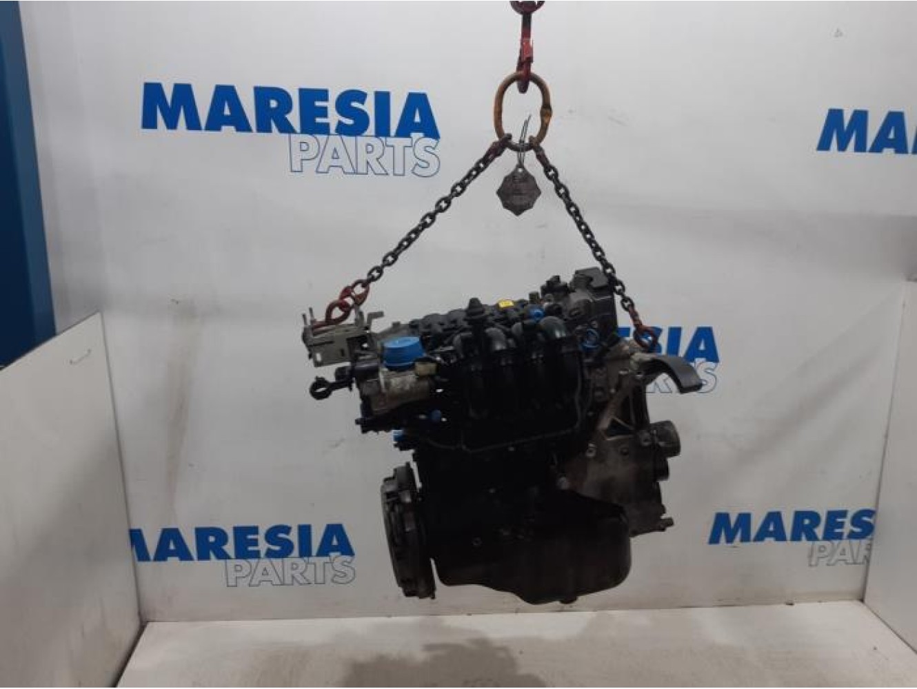 Fiat - Punto - Engine