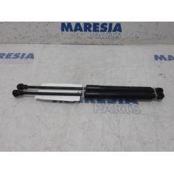Renault - Kangoo - Set of bonnet gas struts