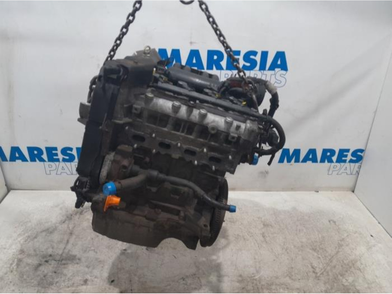 Fiat - Punto - Engine