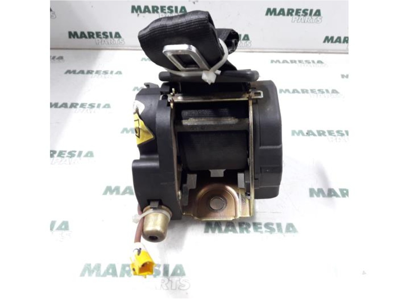 Lancia - Thesis - Sicherheitsgurt links hinten