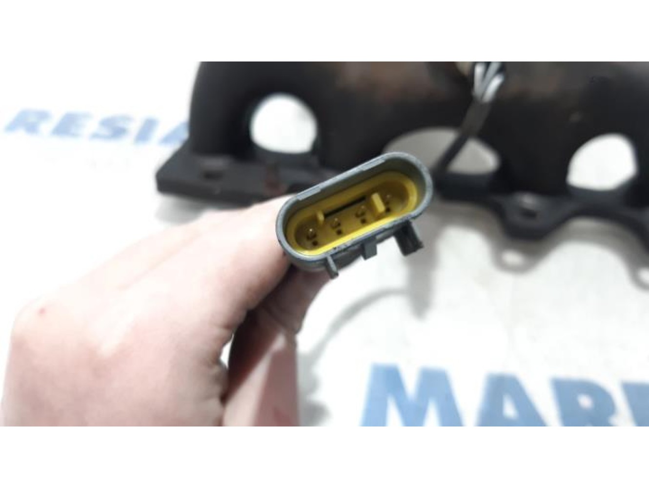 Fiat - Punto - Catalyseur