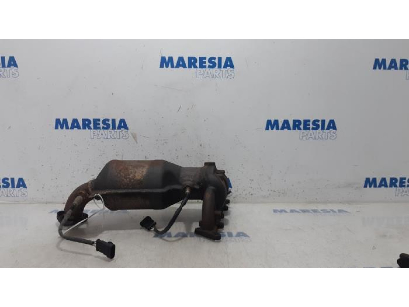 Fiat - Punto - Catalyseur