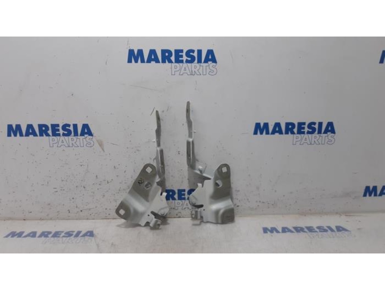 Renault - ZOE - Bonnet Hinge