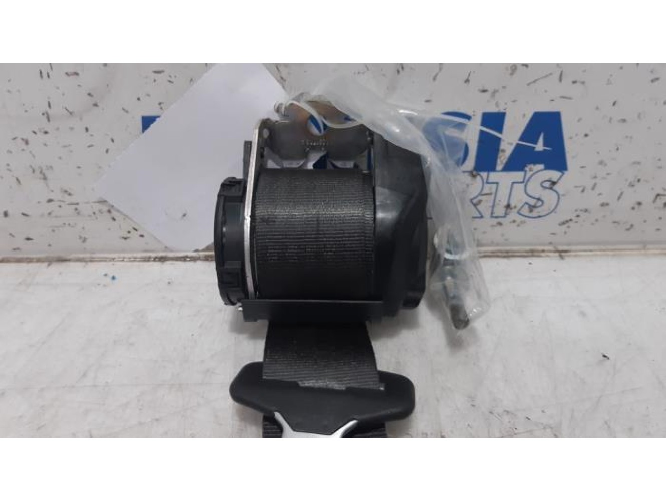 Fiat - Panda - Sicherheitsgurt links hinten