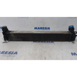 Renault - Megane - Intercooler