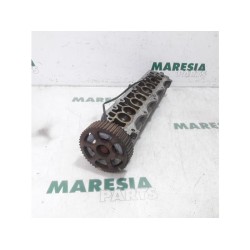 Fiat - Marea - Nokkenas