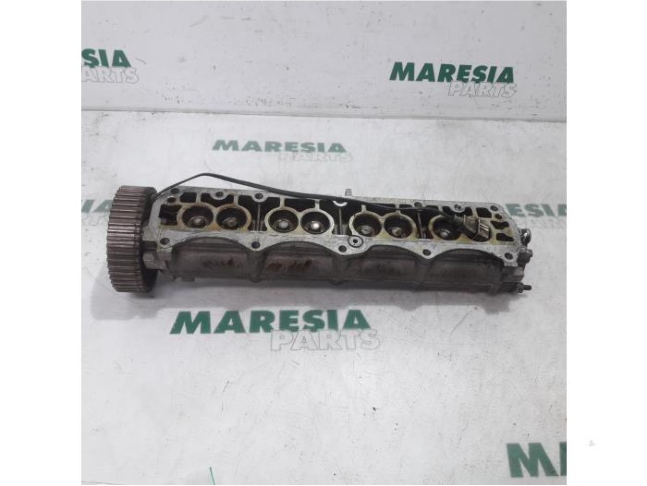 Fiat - Marea - Nokkenas