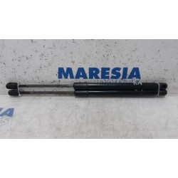 Renault - Megane - Set of tailgate gas struts