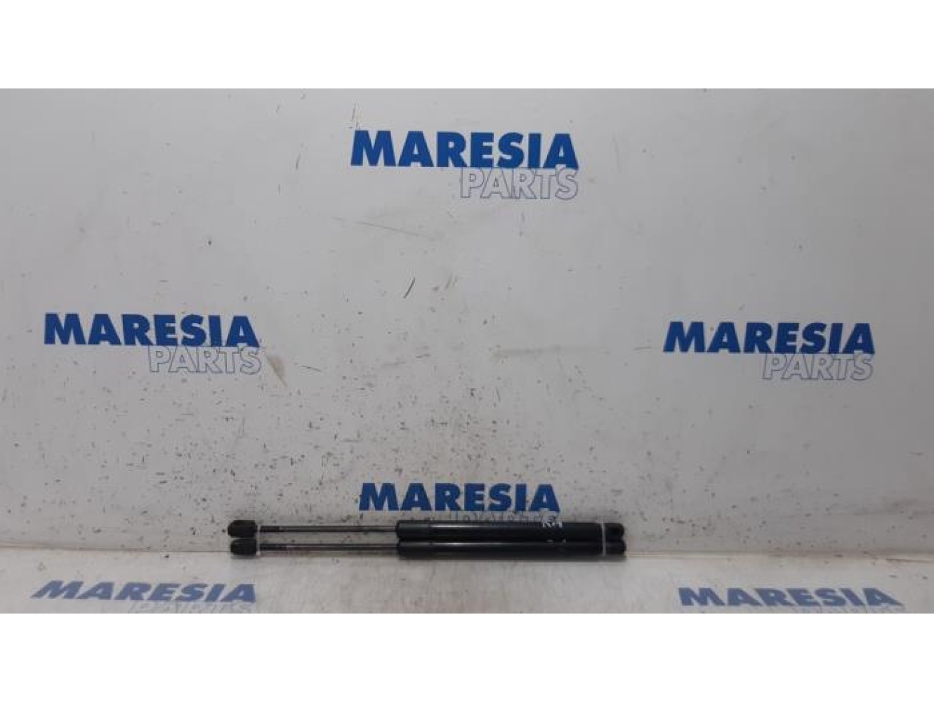 Renault - Megane - Set of tailgate gas struts