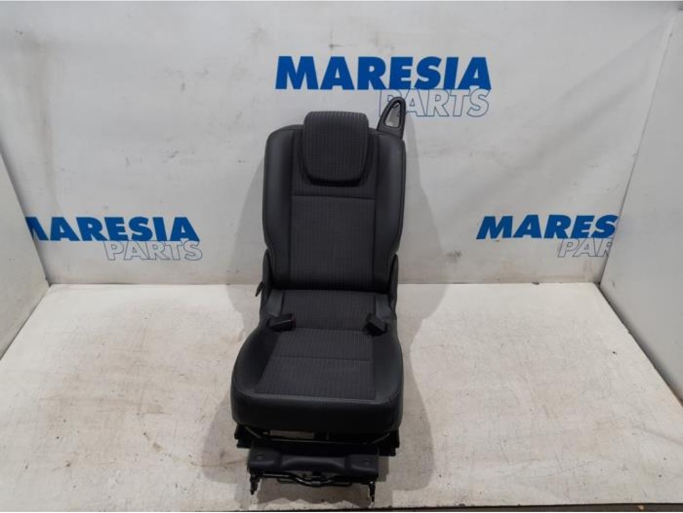 Renault - Scenic - Rear seat
